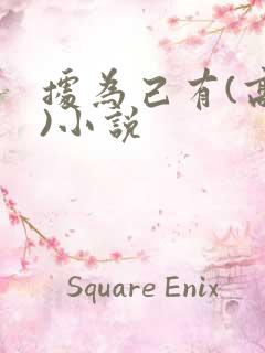 据为己有(高干)小说