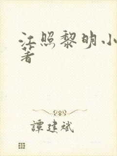 江照黎明小说原著