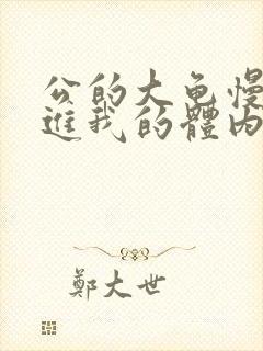 公的大龟慢慢挺进我的体内