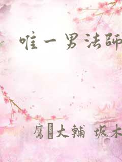 唯一男法师