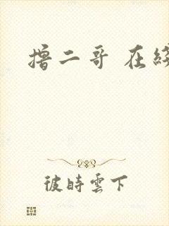 撸二哥 在线