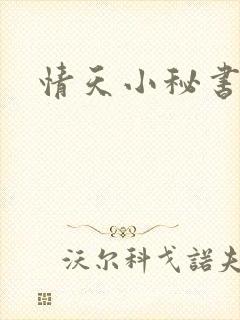 情天小秘书