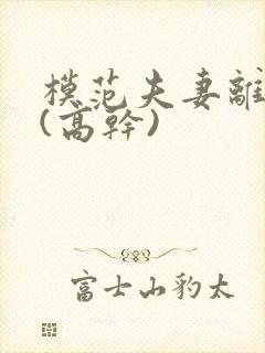 模范夫妻离婚了(高干)