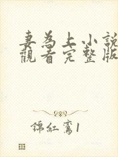 妻为上小说免费观看完整版笔趣阁