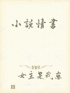 小说情书
