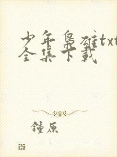 少年枭雄txt全集下载