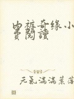 内裤奇缘小说免费阅读