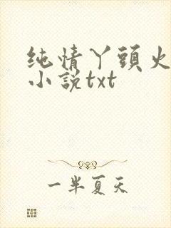 纯情丫头火辣辣小说txt
