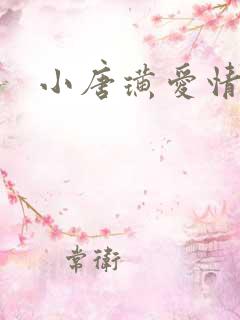 小唐璜爱情历史