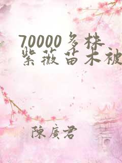 70000多株紫薇苗木被强毁