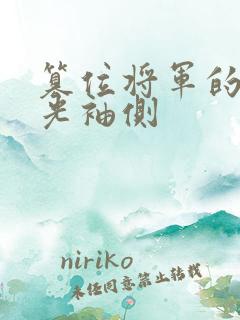 篡位将军的白月光袖侧