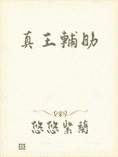 真王辅助