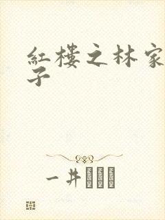 红楼之林家庶长子