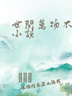 世间万物不及你小说