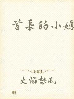 首长的小媳妇