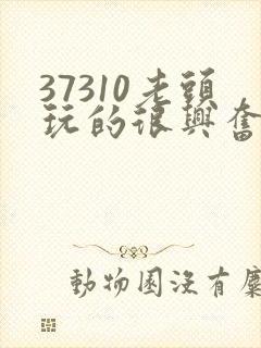 37310老头玩的很兴奋