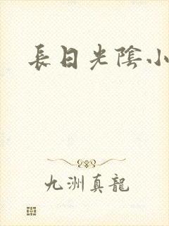 长日光阴小说