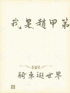 我是赵甲第小说