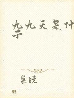 九九天是什么日子