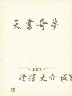 天书奇梦