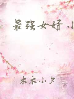 最强女婿 小说