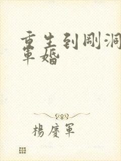 重生到刚洞房的军婚