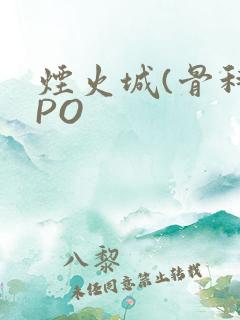 烟火城(骨科)PO