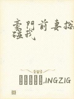 豪门前妻总裁别碰我