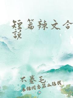 短篇辣文合集小说