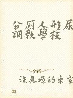 公厕人形尿便器调教学校