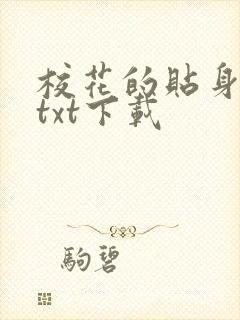 校花的贴身保镖txt下载