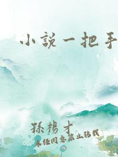 小说一把手