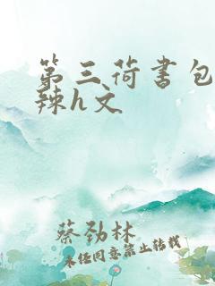 第三荷书包网高辣h文