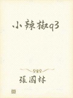 小辣椒q3