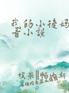 我的小后妈免费看小说