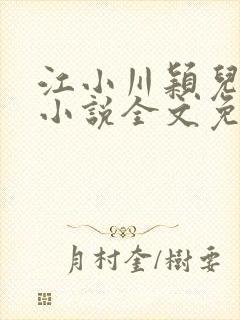 江小川颖儿穿越小说全文免费阅读