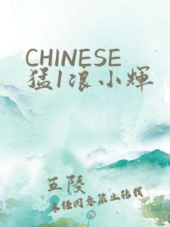 CHINESE猛1浪小辉