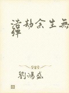 浩劫余生无限子弹