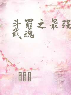 斗罗之最强治疗武魂