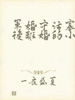 军婚守活寡重生后离婚的小说