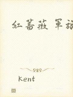 红蔷薇 军旅文