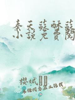 秦天苏酥苏北山小说免费阅读纳兰