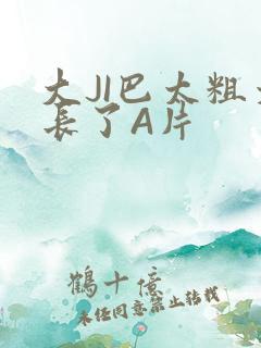 大JI巴太粗太长了A片