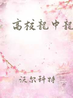 高校龙中龙