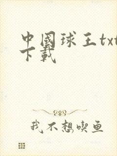中国球王txt下载