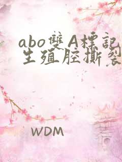 abo双A标记生殖腔撕裂