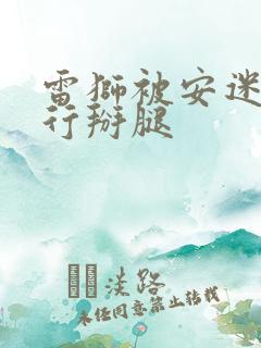 雷狮被安迷修强行掰腿