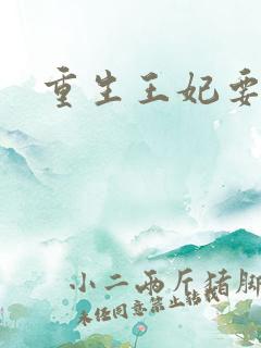 重生王妃要和离