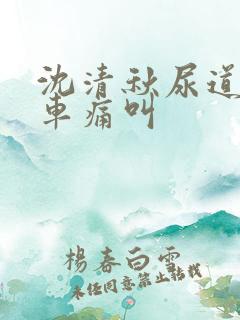 沈清秋尿道扩张车痛叫