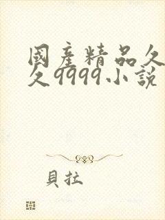 国产精品久久久久9999小说